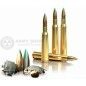 Metak Sellier & Bellot 308 WIN. PTS 11,7g 180grs. Hornady Metak Sellier & Bellot 308 WIN. PTS 11,7g 180grs. Hornady