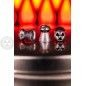 Diabole JSB Hades .22 / 5,5mm
