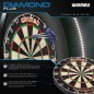 Winmau Diamond Plus klasična pikado meta