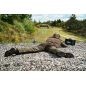 Hlace Harkila Fjell Trousers razne boje dostupne